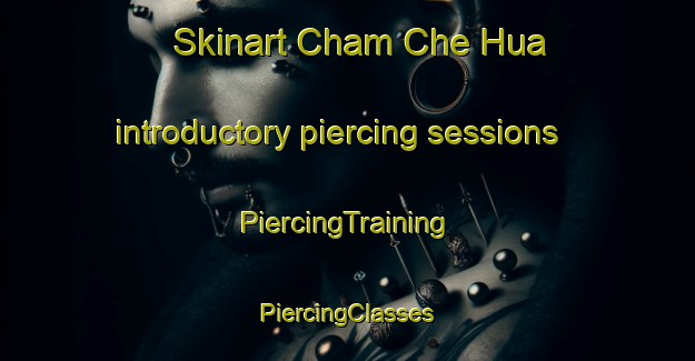 Skinart Cham Che Hua introductory piercing sessions | #PiercingTraining #PiercingClasses #SkinartTraining-Vietnam