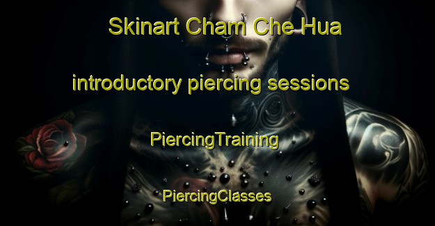 Skinart Cham Che Hua introductory piercing sessions | #PiercingTraining #PiercingClasses #SkinartTraining-Vietnam