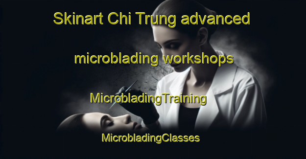 Skinart Chi Trung advanced microblading workshops | MicrobladingTraining | MicrobladingClasses | SkinartTraining-Vietnam