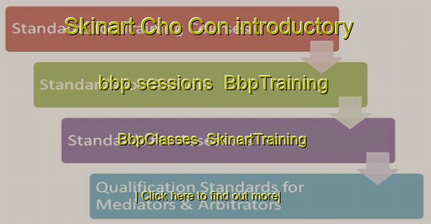 Skinart Cho Con introductory bbp sessions | BbpTraining | BbpClasses | SkinartTraining-Vietnam