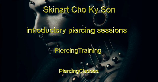 Skinart Cho Ky Son introductory piercing sessions | #PiercingTraining #PiercingClasses #SkinartTraining-Vietnam