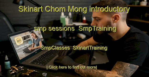 Skinart Chom Mong introductory smp sessions | SmpTraining | SmpClasses | SkinartTraining-Vietnam