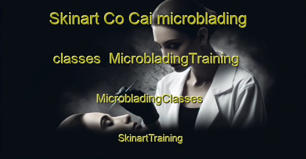 Skinart Co Cai microblading classes | MicrobladingTraining | MicrobladingClasses | SkinartTraining-Vietnam