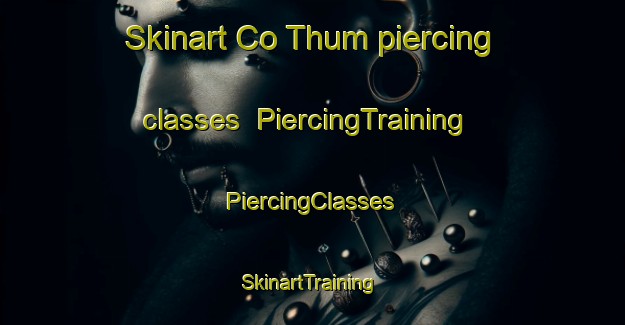 Skinart Co Thum piercing classes | #PiercingTraining #PiercingClasses #SkinartTraining-Vietnam