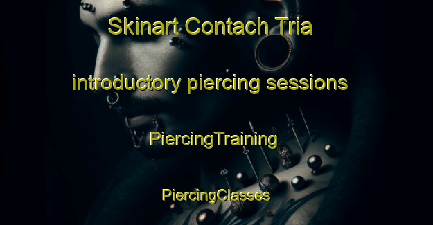 Skinart Contach Tria introductory piercing sessions | #PiercingTraining #PiercingClasses #SkinartTraining-Vietnam