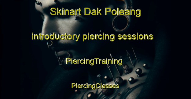 Skinart Dak Poleang introductory piercing sessions | #PiercingTraining #PiercingClasses #SkinartTraining-Vietnam