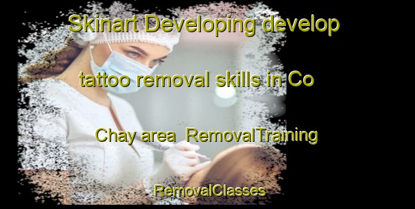 Skinart Developing develop tattoo removal skills in Co Chay area | RemovalTraining | RemovalClasses | SkinartTraining-Vietnam