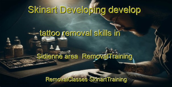 Skinart Developing develop tattoo removal skills in Sidienne area | #RemovalTraining #RemovalClasses #SkinartTraining-Vietnam