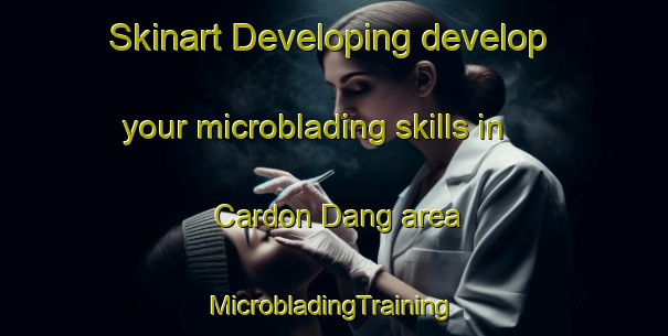 Skinart Developing develop your microblading skills in Cardon Dang area | #MicrobladingTraining #MicrobladingClasses #SkinartTraining-Vietnam