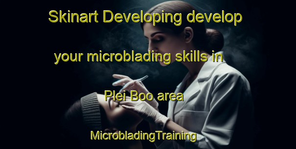 Skinart Developing develop your microblading skills in Plei Boo area | MicrobladingTraining | MicrobladingClasses | SkinartTraining-Vietnam