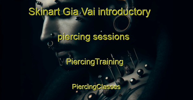 Skinart Gia Vai introductory piercing sessions | #PiercingTraining #PiercingClasses #SkinartTraining-Vietnam