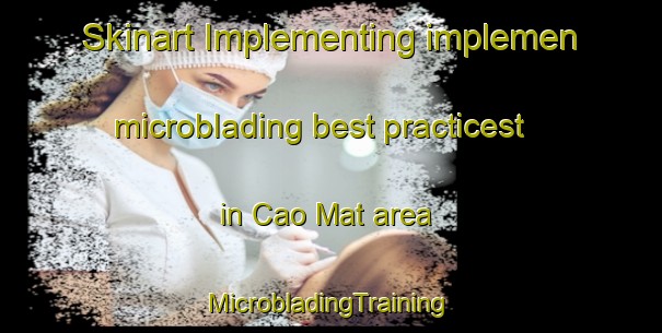 Skinart Implementing implemen microblading best practicest in Cao Mat area | #MicrobladingTraining #MicrobladingClasses #SkinartTraining-Vietnam