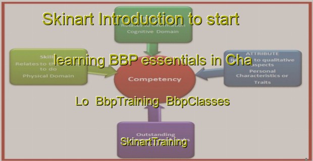 Skinart Introduction to start learning BBP essentials in Cha Lo | BbpTraining | BbpClasses | SkinartTraining-Vietnam