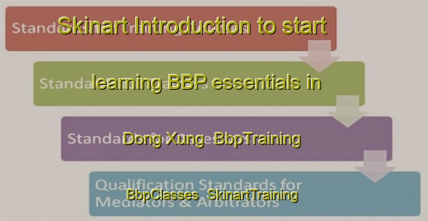 Skinart Introduction to start learning BBP essentials in Dong Xung | BbpTraining | BbpClasses | SkinartTraining-Vietnam