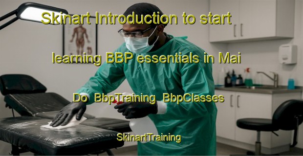 Skinart Introduction to start learning BBP essentials in Mai Do | BbpTraining | BbpClasses | SkinartTraining-Vietnam