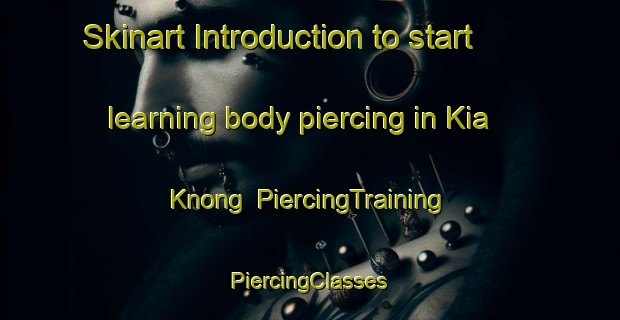 Skinart Introduction to start learning body piercing in Kia Knong | #PiercingTraining #PiercingClasses #SkinartTraining-Vietnam