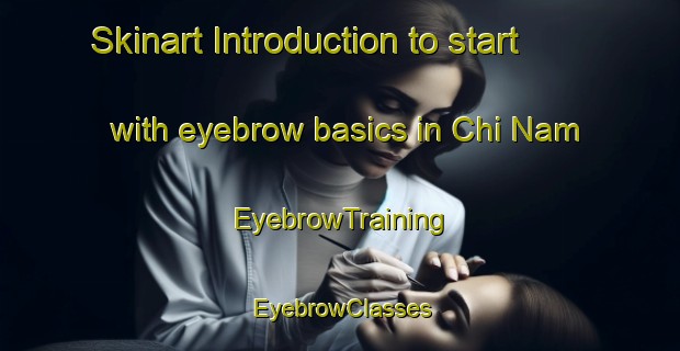 Skinart Introduction to start with eyebrow basics in Chi Nam | EyebrowTraining | EyebrowClasses | SkinartTraining-Vietnam