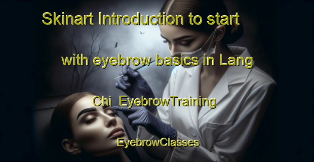 Skinart Introduction to start with eyebrow basics in Lang Chi | EyebrowTraining | EyebrowClasses | SkinartTraining-Vietnam