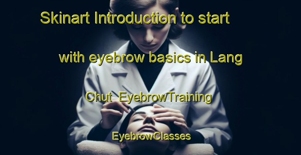 Skinart Introduction to start with eyebrow basics in Lang Chut | EyebrowTraining | EyebrowClasses | SkinartTraining-Vietnam