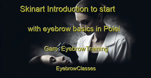 Skinart Introduction to start with eyebrow basics in Polei Gam | EyebrowTraining | EyebrowClasses | SkinartTraining-Vietnam