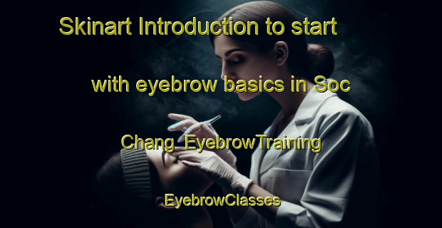 Skinart Introduction to start with eyebrow basics in Soc Chang | EyebrowTraining | EyebrowClasses | SkinartTraining-Vietnam