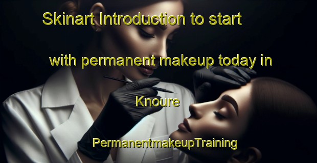 Skinart Introduction to start with permanent makeup today in Knoure | #PermanentmakeupTraining #PermanentmakeupClasses #SkinartTraining-Vietnam