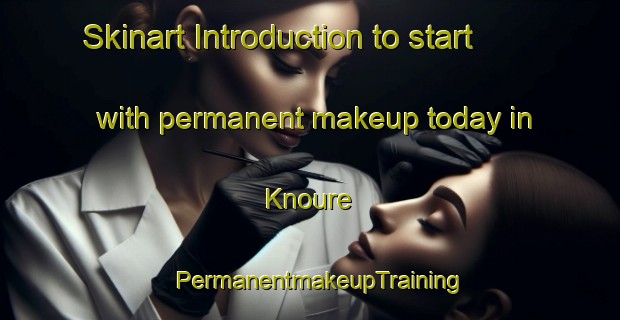 Skinart Introduction to start with permanent makeup today in Knoure | PermanentmakeupTraining | PermanentmakeupClasses | SkinartTraining-Vietnam