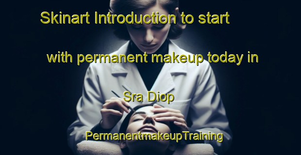 Skinart Introduction to start with permanent makeup today in Sra Diop | PermanentmakeupTraining | PermanentmakeupClasses | SkinartTraining-Vietnam