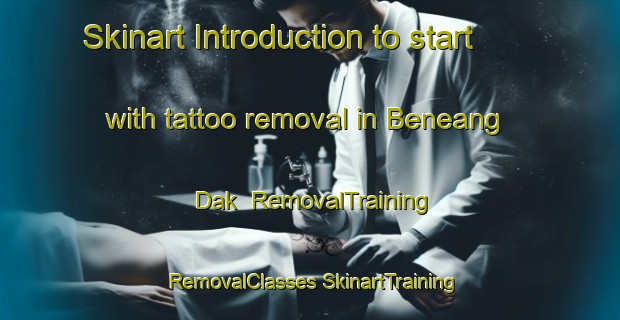 Skinart Introduction to start with tattoo removal in Beneang Dak | #RemovalTraining #RemovalClasses #SkinartTraining-Vietnam