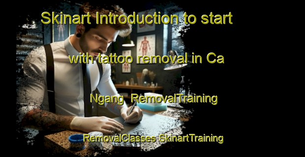 Skinart Introduction to start with tattoo removal in Ca Ngang | #RemovalTraining #RemovalClasses #SkinartTraining-Vietnam