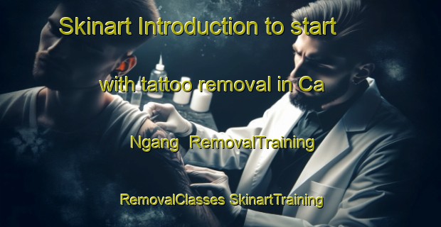 Skinart Introduction to start with tattoo removal in Ca Ngang | #RemovalTraining #RemovalClasses #SkinartTraining-Vietnam