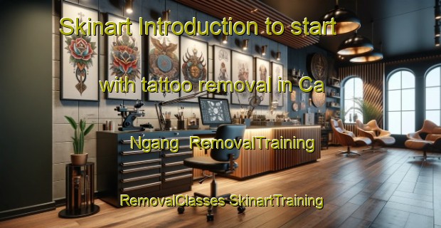 Skinart Introduction to start with tattoo removal in Ca Ngang | #RemovalTraining #RemovalClasses #SkinartTraining-Vietnam