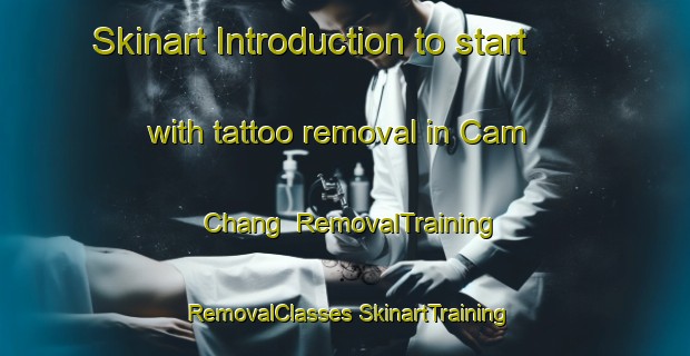 Skinart Introduction to start with tattoo removal in Cam Chang | #RemovalTraining #RemovalClasses #SkinartTraining-Vietnam