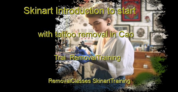 Skinart Introduction to start with tattoo removal in Cao Trai | #RemovalTraining #RemovalClasses #SkinartTraining-Vietnam