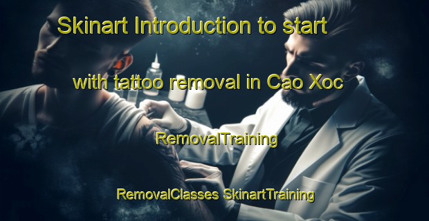 Skinart Introduction to start with tattoo removal in Cao Xoc | #RemovalTraining #RemovalClasses #SkinartTraining-Vietnam