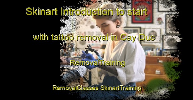 Skinart Introduction to start with tattoo removal in Cay Duc | #RemovalTraining #RemovalClasses #SkinartTraining-Vietnam