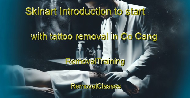 Skinart Introduction to start with tattoo removal in Co Cang | RemovalTraining | RemovalClasses | SkinartTraining-Vietnam