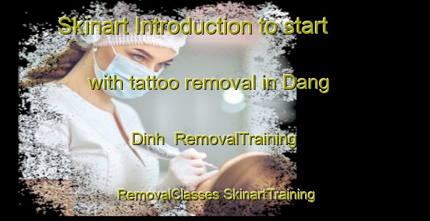 Skinart Introduction to start with tattoo removal in Dang Dinh | #RemovalTraining #RemovalClasses #SkinartTraining-Vietnam