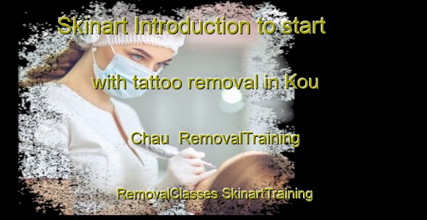 Skinart Introduction to start with tattoo removal in Kou Chau | #RemovalTraining #RemovalClasses #SkinartTraining-Vietnam