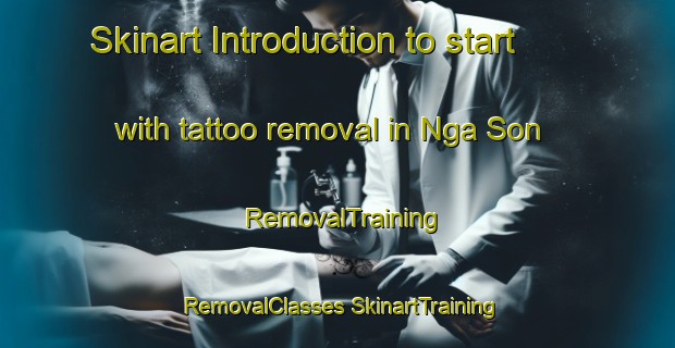 Skinart Introduction to start with tattoo removal in Nga Son | #RemovalTraining #RemovalClasses #SkinartTraining-Vietnam