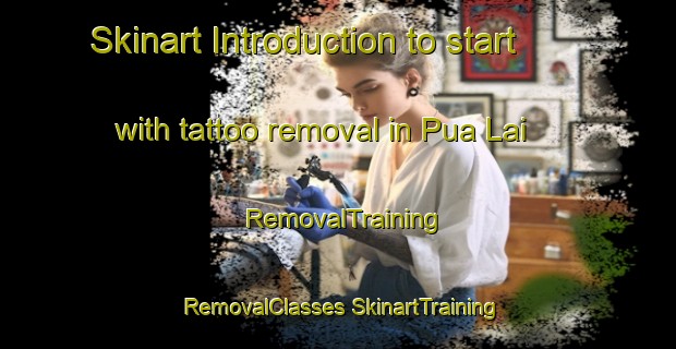 Skinart Introduction to start with tattoo removal in Pua Lai | #RemovalTraining #RemovalClasses #SkinartTraining-Vietnam