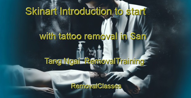 Skinart Introduction to start with tattoo removal in San Tang Ngai | RemovalTraining | RemovalClasses | SkinartTraining-Vietnam