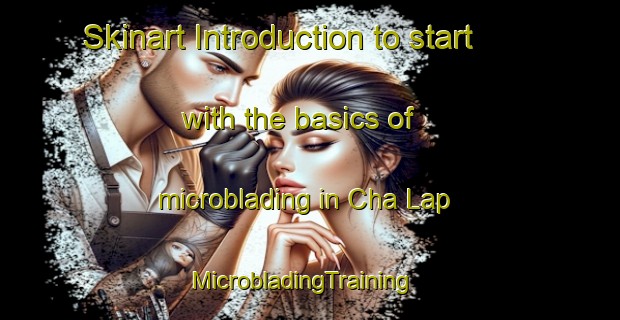 Skinart Introduction to start with the basics of microblading in Cha Lap | MicrobladingTraining | MicrobladingClasses | SkinartTraining-Vietnam
