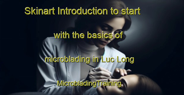 Skinart Introduction to start with the basics of microblading in Luc Long | MicrobladingTraining | MicrobladingClasses | SkinartTraining-Vietnam