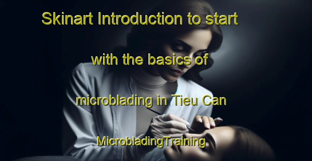 Skinart Introduction to start with the basics of microblading in Tieu Can | MicrobladingTraining | MicrobladingClasses | SkinartTraining-Vietnam