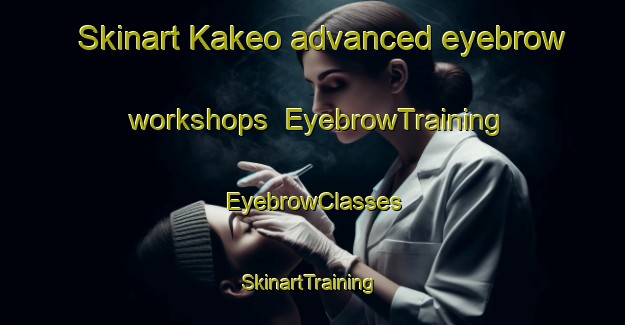 Skinart Kakeo advanced eyebrow workshops | EyebrowTraining | EyebrowClasses | SkinartTraining-Vietnam