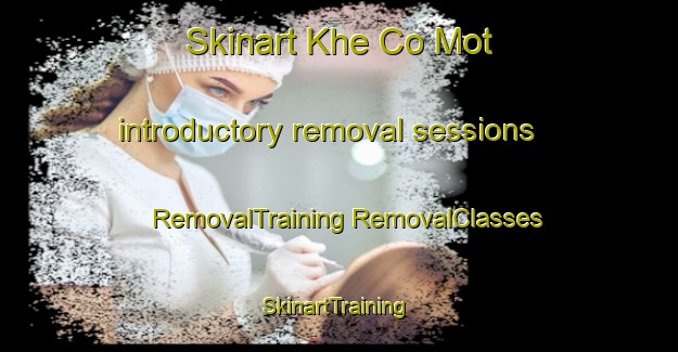 Skinart Khe Co Mot introductory removal sessions | #RemovalTraining #RemovalClasses #SkinartTraining-Vietnam