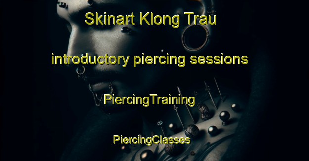 Skinart Klong Trau introductory piercing sessions | PiercingTraining | PiercingClasses | SkinartTraining-Vietnam