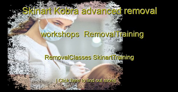 Skinart Kobra advanced removal workshops | #RemovalTraining #RemovalClasses #SkinartTraining-Vietnam