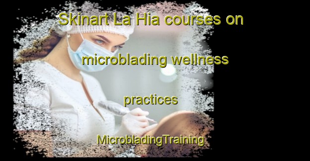 Skinart La Hia courses on microblading wellness practices | MicrobladingTraining | MicrobladingClasses | SkinartTraining-Vietnam
